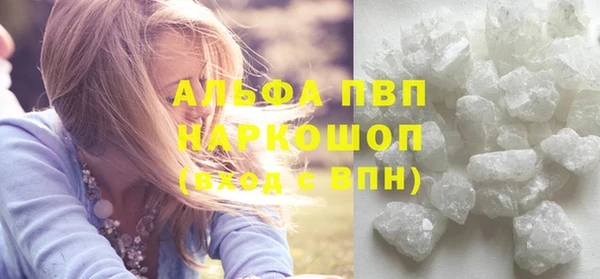 прущие грибы Краснослободск