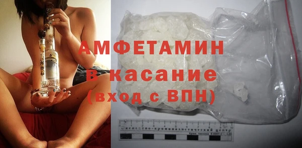 прущие грибы Краснослободск