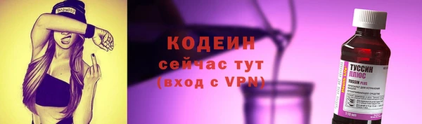 прущие грибы Краснослободск