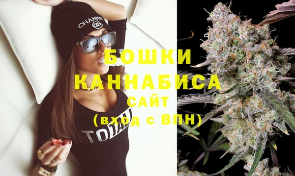 прущие грибы Краснослободск