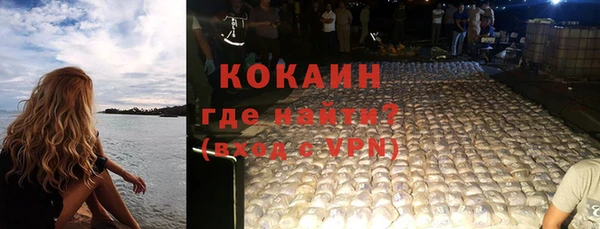 прущие грибы Краснослободск