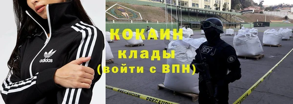 прущие грибы Краснослободск