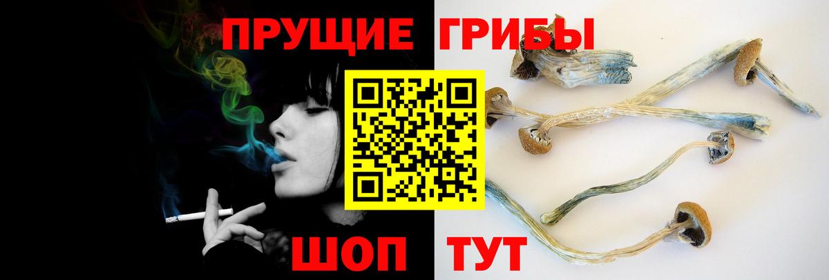 Туапсе  Псилоцибиновые грибы мухоморы  Вход с VPN 